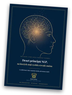 Obálka PDF Deset principů NLP
