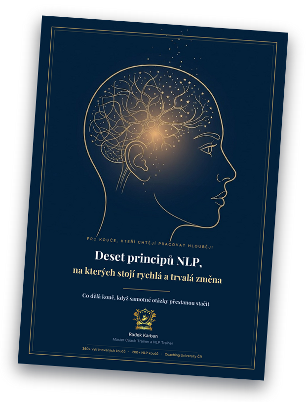 Obálka PDF Deset principů NLP